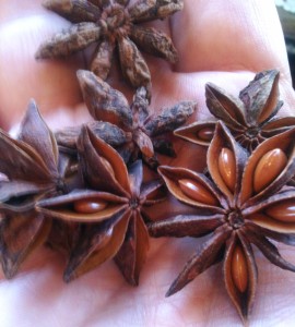 Star Anise