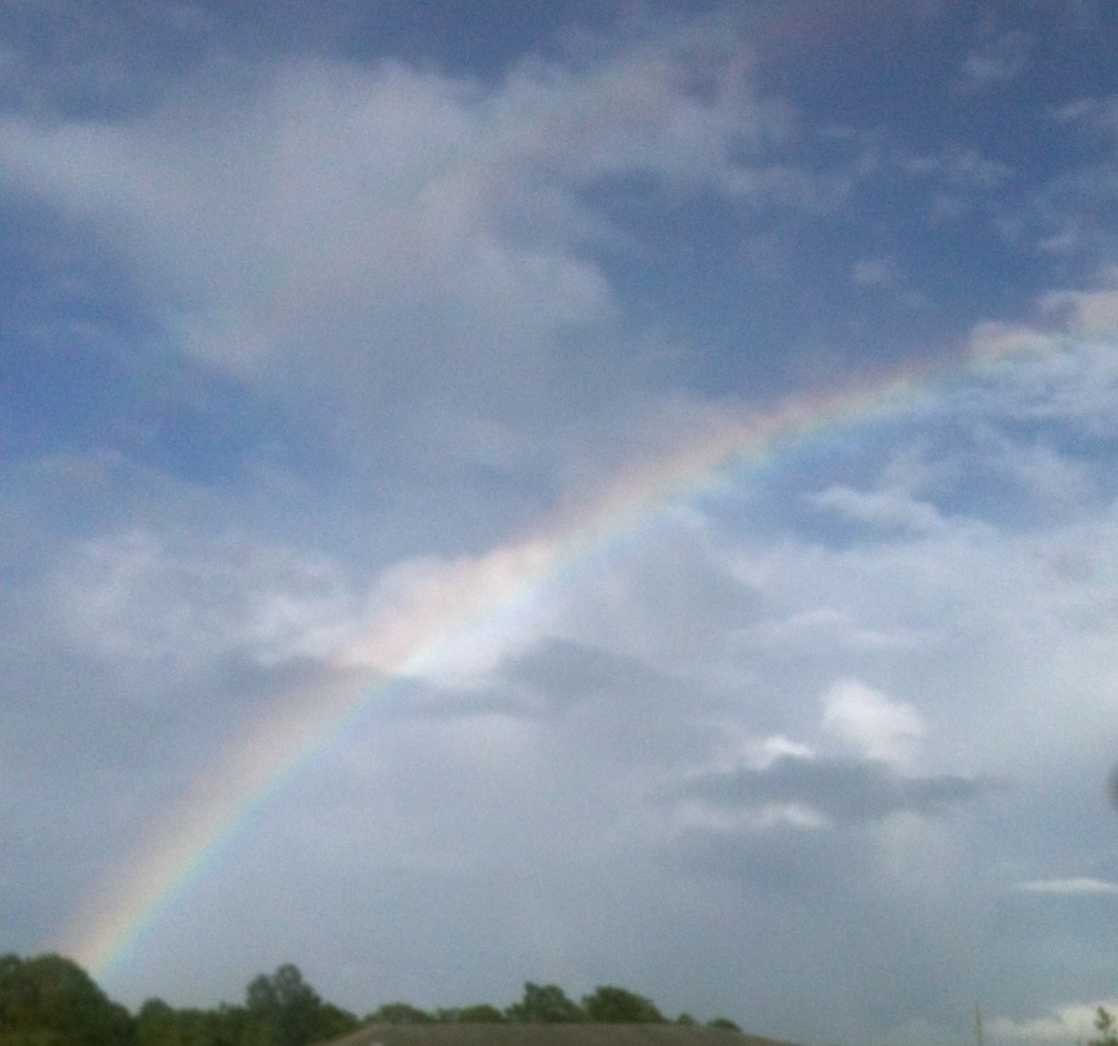 Double Rainbow Florida